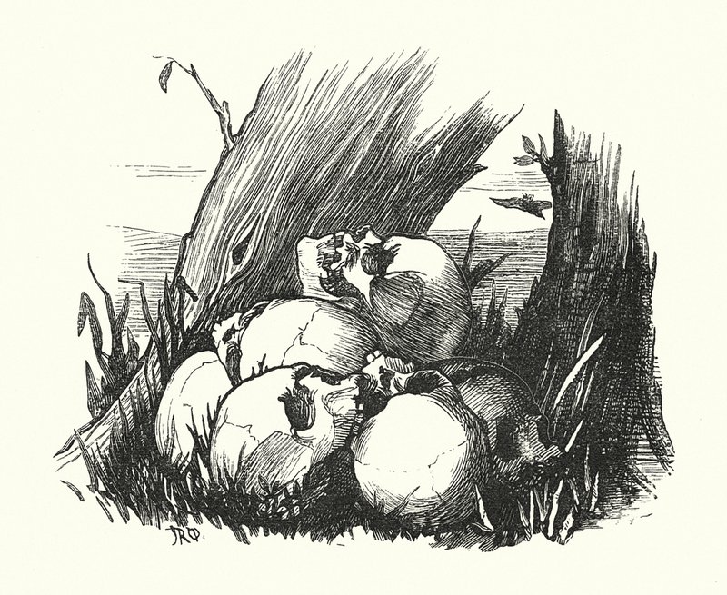 Vignetta, Róma ellenségei (metszet) alkotó: John Reinhard Weguelin