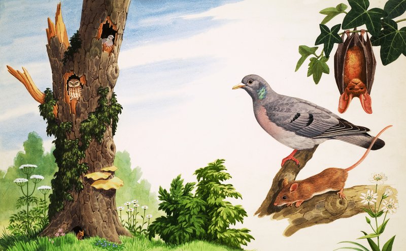 A halott fa alkotó: John Rignall