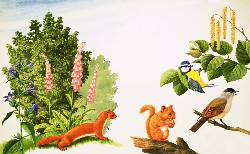 A mogyorófa alkotó: John Rignall