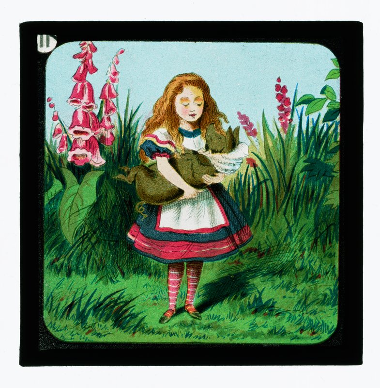 Alice Csodaországban, Színes lámpás diák alkotó: John Tenniel