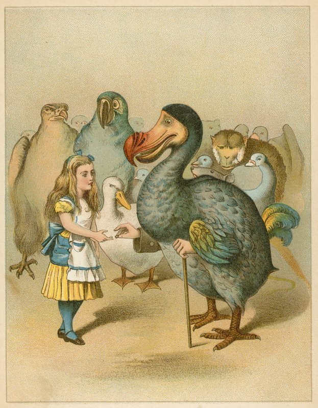 A Dodo ünnepélyesen bemutatta az Alice kalandjai Csodaországban gyűszűjét alkotó: John Tenniel