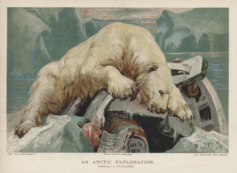 Sarkvidéki felfedezés: jegesmedve, aki egy sarkvidéki expedíció tárgyait vizsgálja (chromolitho) alkotó: John Trivett Nettleship
