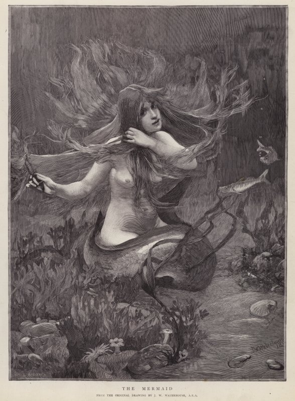 A sellő (litho) alkotó: John William (after) Waterhouse