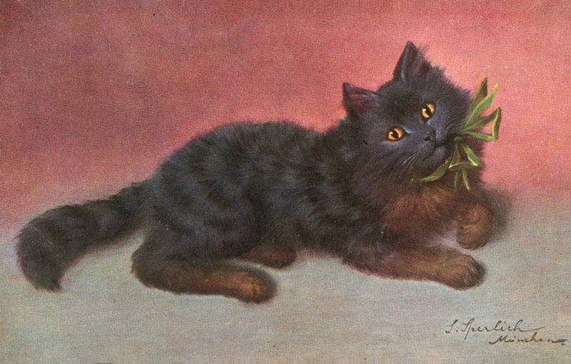 Macska képeslap (színes litográfia) alkotó: Josef Sperlich