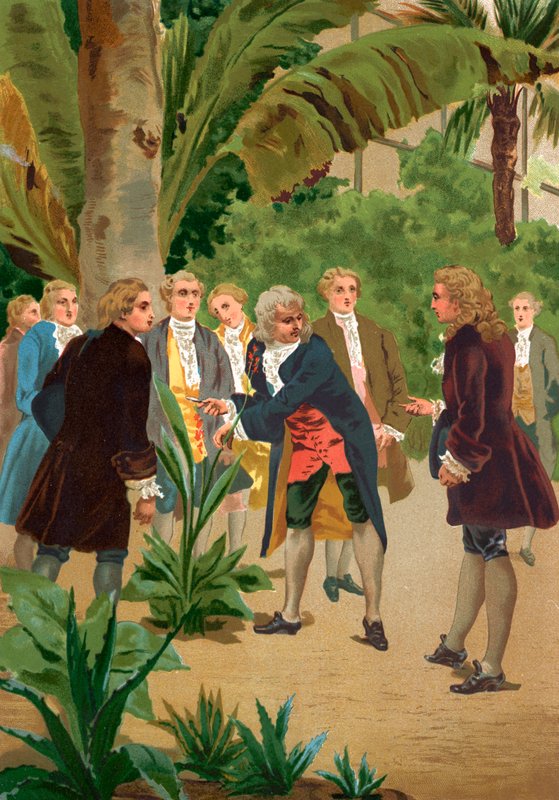 Carl Linné alkotó: Josep or Jose Planella Coromina