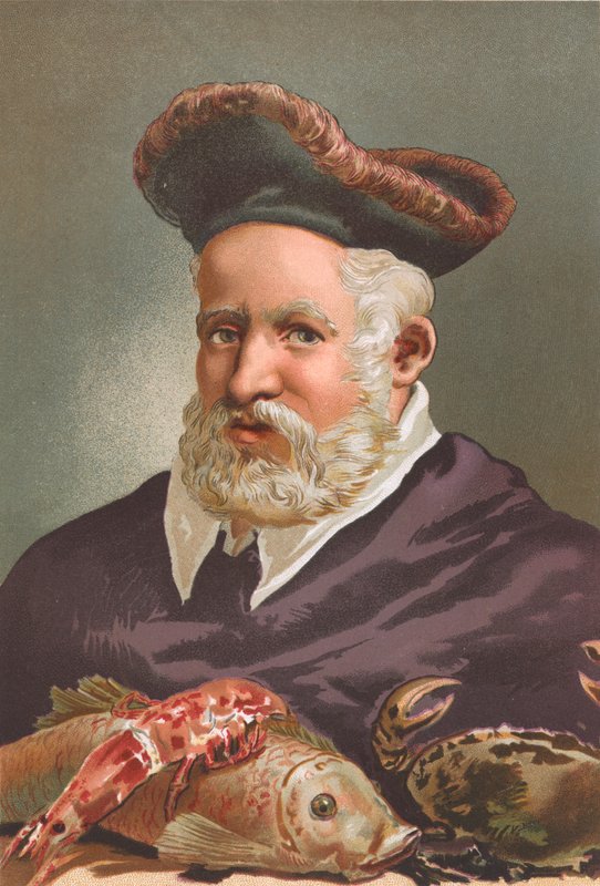 Guillaume Rondelet alkotó: Josep or Jose Planella Coromina