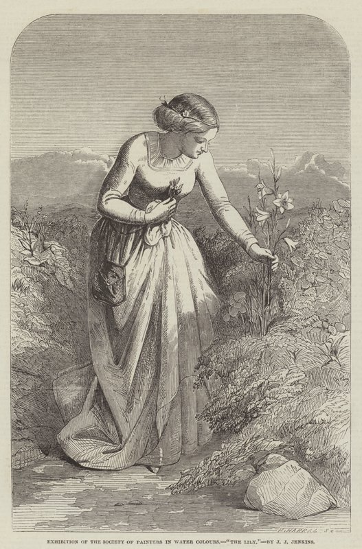 Az Akvarellfestők Társaságának kiállítása, The Lily alkotó: Joseph John Jenkins