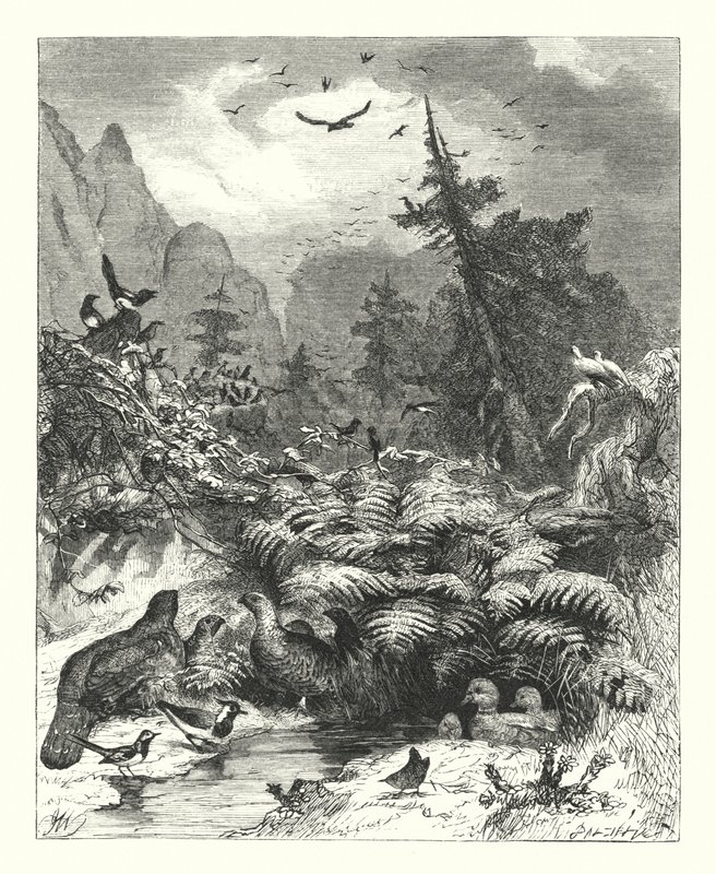 Isten keresése (metszet) alkotó: Joseph (after) Wolf
