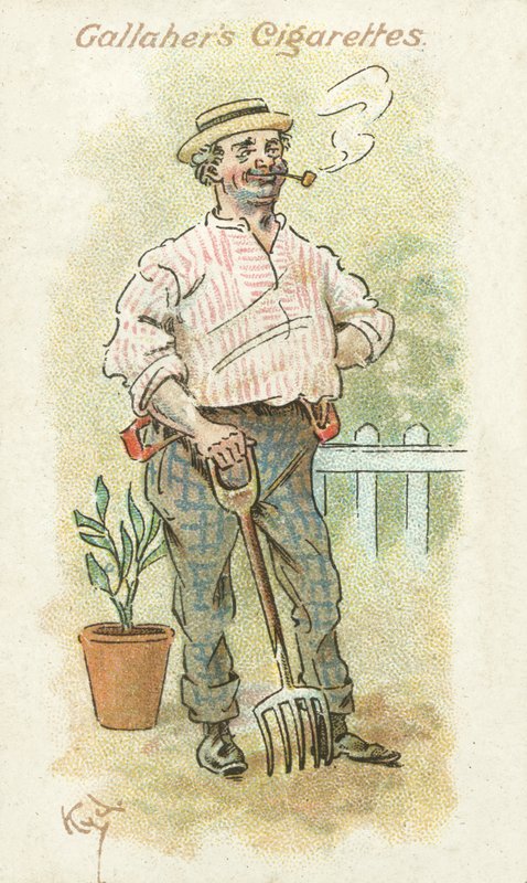 A gyomnövény 22. számú szavazólapjai (színes litográfia) alkotó: Joseph Clayton (1856 1937) Clarke
