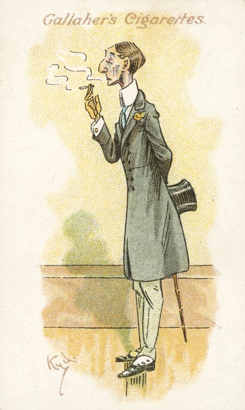 A gyomnövény 16. számú szavazói (színes litográfia) alkotó: Joseph Clayton (1856 1937) Clarke