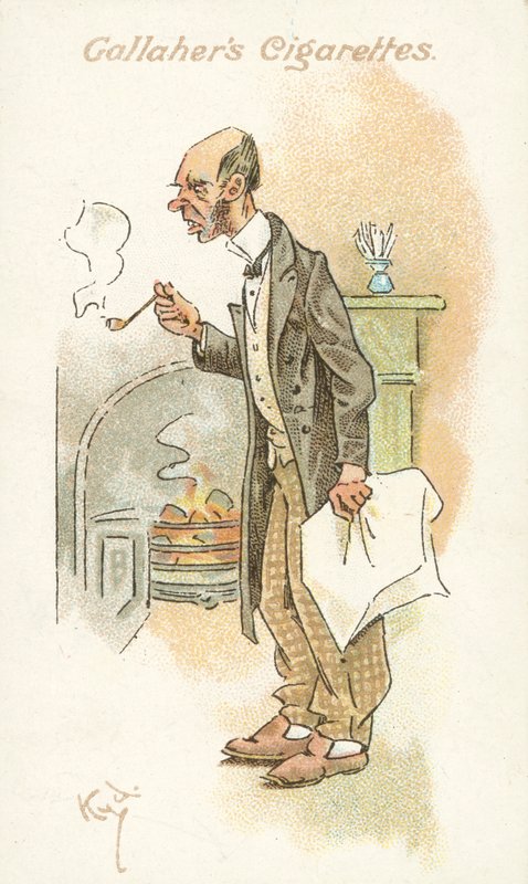 A gyomnövény 20. számú szavazói (színes litográfia) alkotó: Joseph Clayton (1856 1937) Clarke