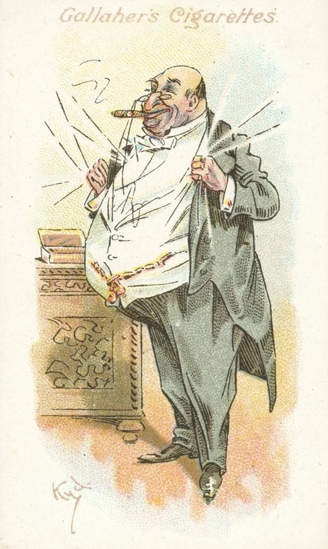 A gyomnövény 8. számú szavazói (színes litográfia) alkotó: Joseph Clayton (1856 1937) Clarke