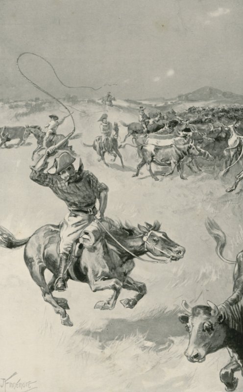 Szarvasmarha-Mustering Queenslandben alkotó: Joseph Finnemore