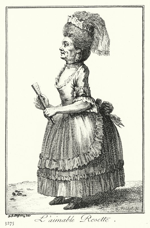 A szép rozetta (metszet) alkotó: Joseph Franz von (after) Goez