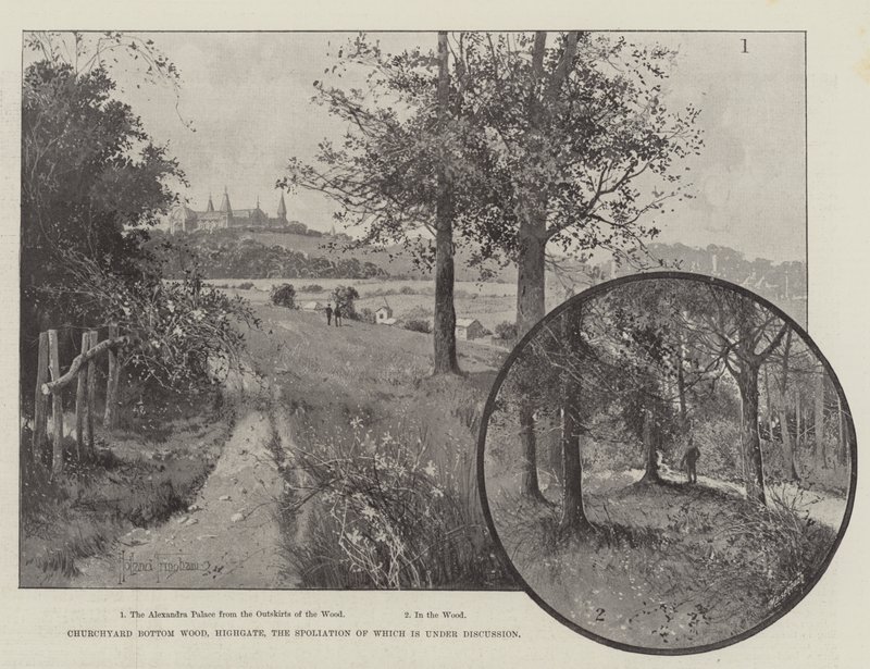 Churchyard Bottom Wood, Highgate, amelynek elkobzása vita tárgyát képezi alkotó: Joseph Holland Tringham