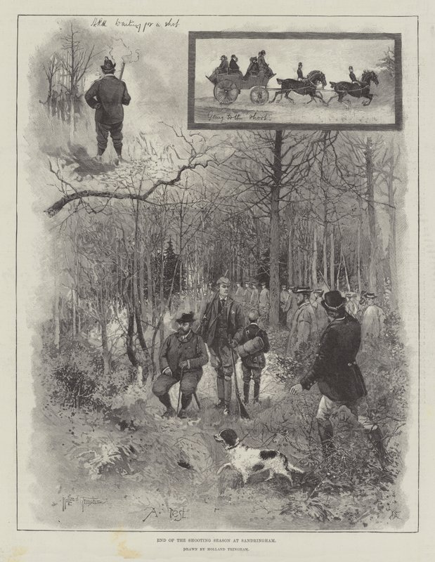 A Sandringham-i lőszezon vége alkotó: Joseph Holland Tringham
