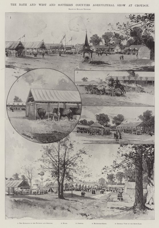 A Bath és a nyugati és déli megyék mezőgazdasági bemutatója Croydonban alkotó: Joseph Holland Tringham