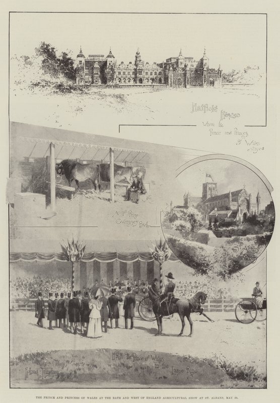 A walesi herceg és hercegnő a Bath és Nyugat-Anglia mezőgazdasági kiállításon St Albansban, május 29. alkotó: Joseph Holland Tringham