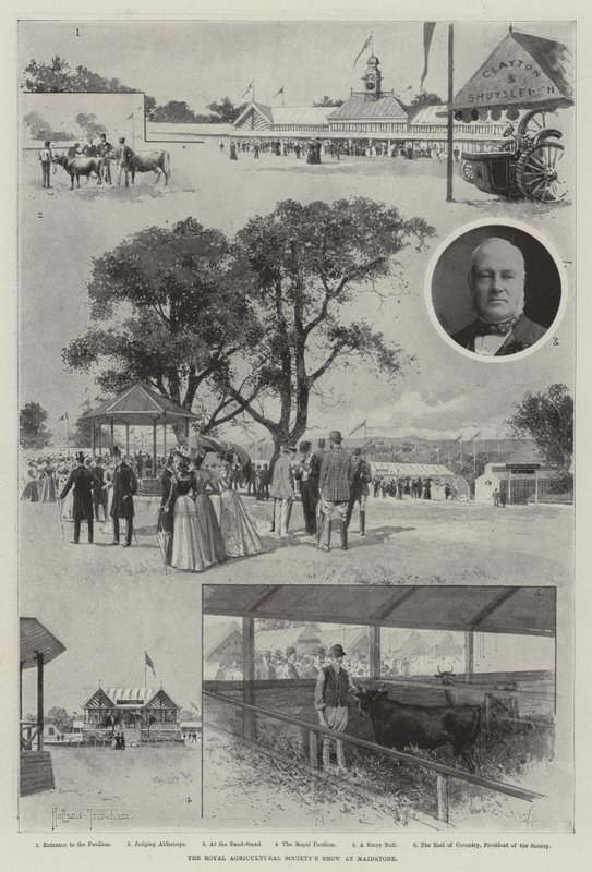 A Királyi Mezőgazdasági Társaság kiállítása Maidstone-ban alkotó: Joseph Holland Tringham