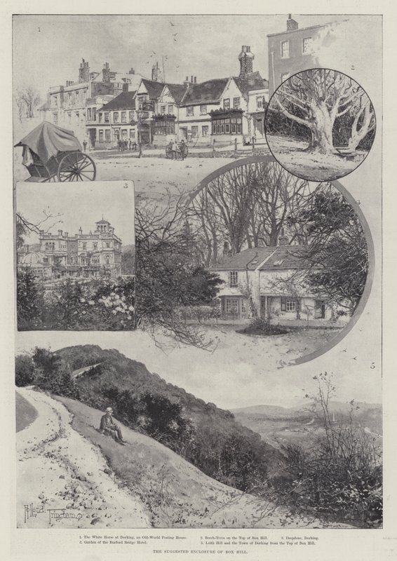 A Box Hill javasolt körbekerítése alkotó: Joseph Holland Tringham