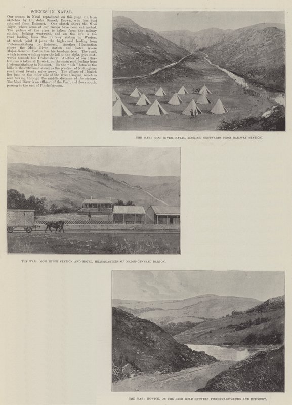 A transzvaali háború alkotó: Joseph Holland Tringham