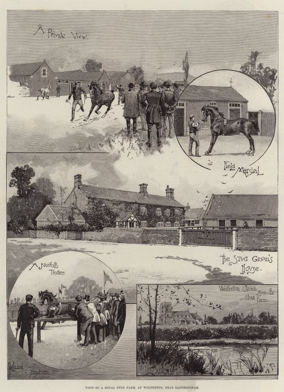 Látogatás egy Királyi Ménesfarmban, Wolfertonban, Sandringham közelében alkotó: Joseph Holland Tringham