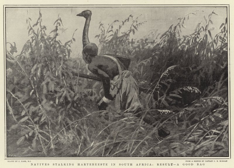 A dél-afrikai Hartebeeste-t leső bennszülöttek, eredmény: egy jó táska alkotó: Joseph Nash