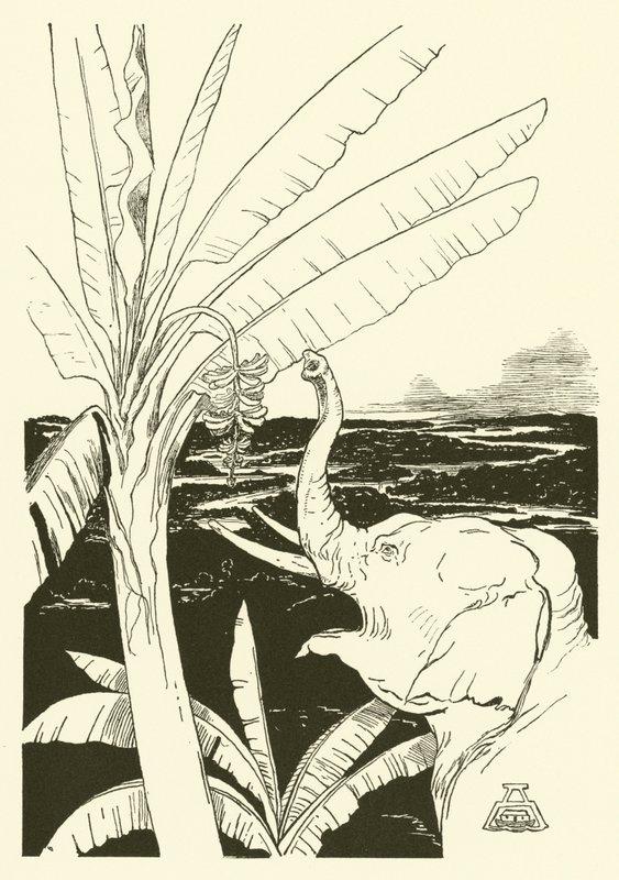 Az elefánt gyermeke banánt fog húzni (metszet) alkotó: Joseph Rudyard (after) Kipling