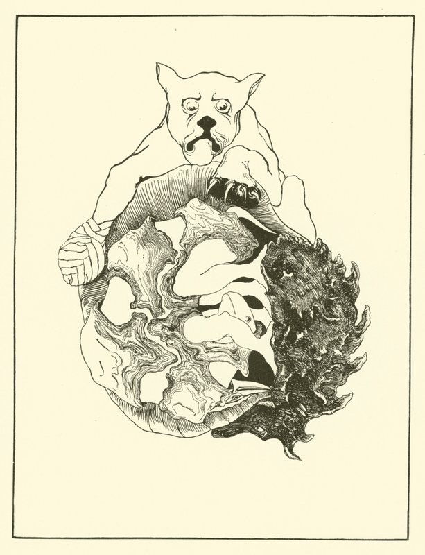 A jaguár és a sündisznó, a teknős és a tatu teljes története egy kupacban (metszet) alkotó: Joseph Rudyard (after) Kipling