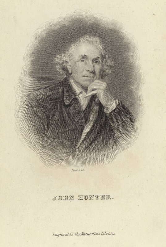 John Hunter alkotó: Joshua Reynolds