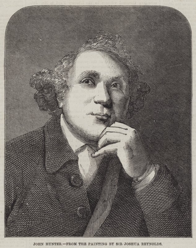 John Hunter alkotó: Joshua Reynolds