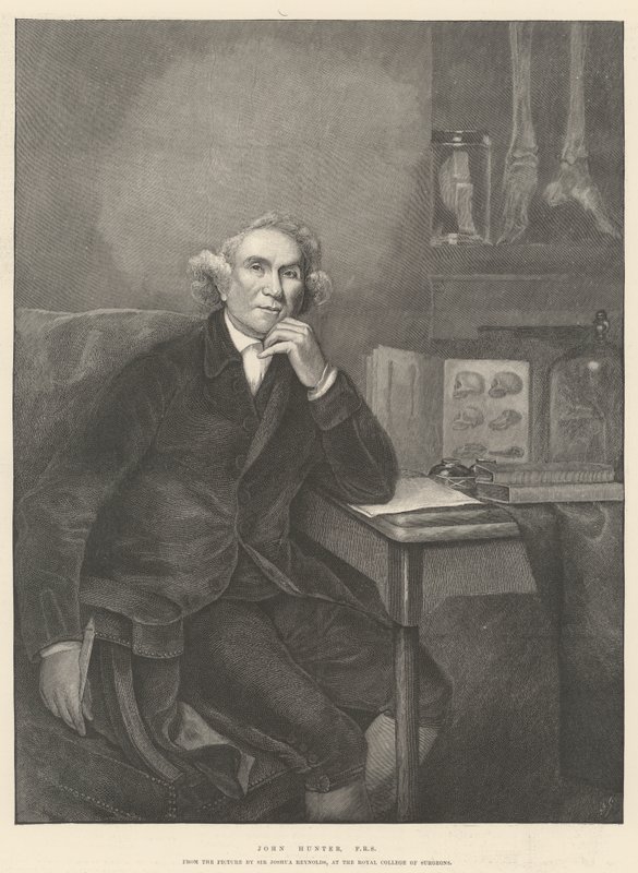 John Hunter, FRS alkotó: Joshua Reynolds