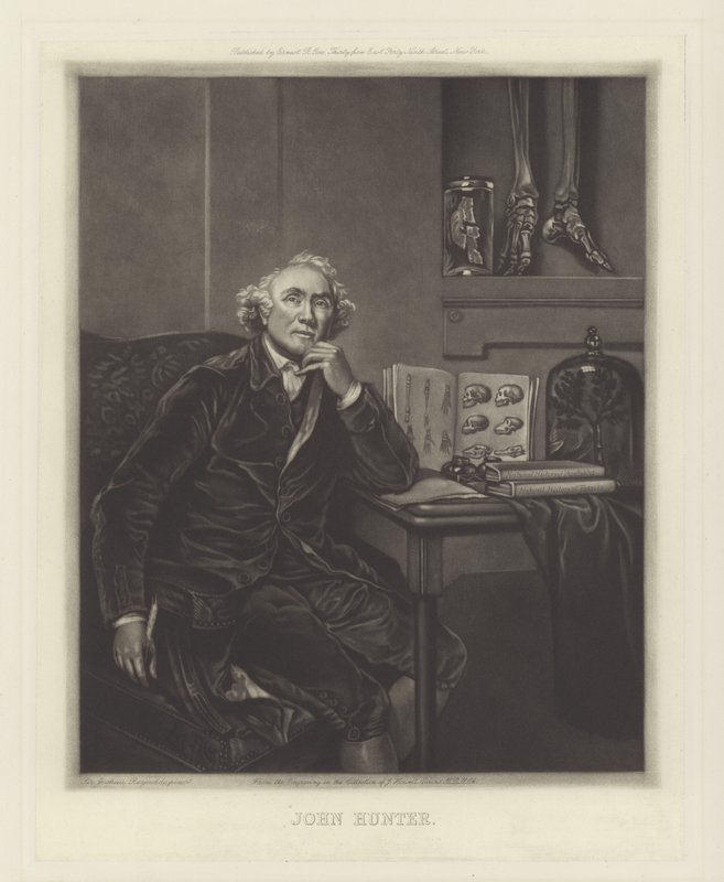 John Hunter skót sebész alkotó: Joshua Reynolds