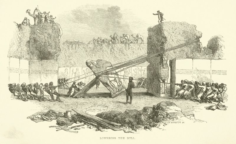 A bika leengedése alkotó: Josiah Wood Whymper