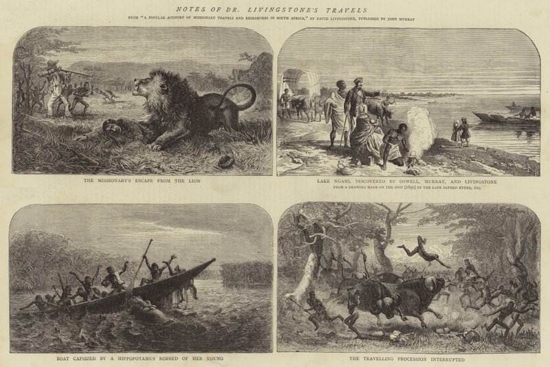 Dr. Livingstone utazásainak feljegyzései alkotó: Josiah Wood Whymper