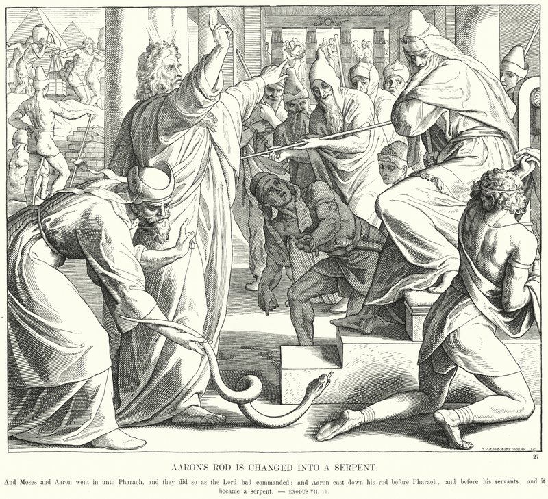 Áron rúdja kígyóvá változik (metszet) alkotó: Julius (after) Schnorr von Carolsfeld