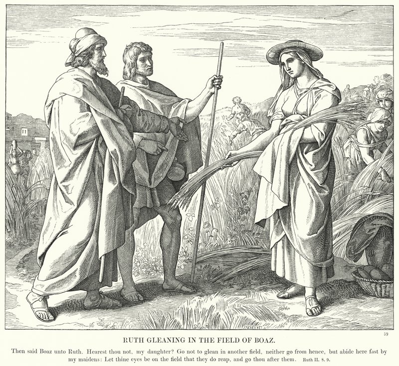 Ruth Boáz mezején gyűjtöget (metszet) alkotó: Julius (after) Schnorr von Carolsfeld