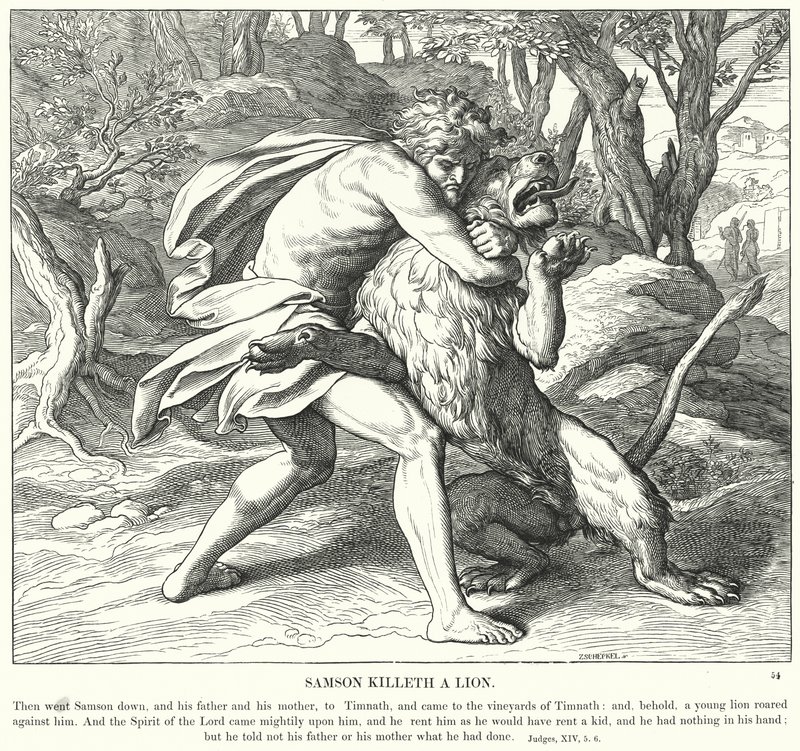 Samson Killeth egy oroszlán (metszet) alkotó: Julius (after) Schnorr von Carolsfeld