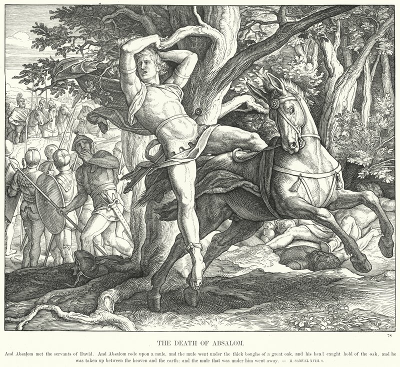 Absolon halála (metszet) alkotó: Julius (after) Schnorr von Carolsfeld