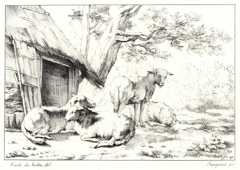 Juh alkotó: Karel Dujardin