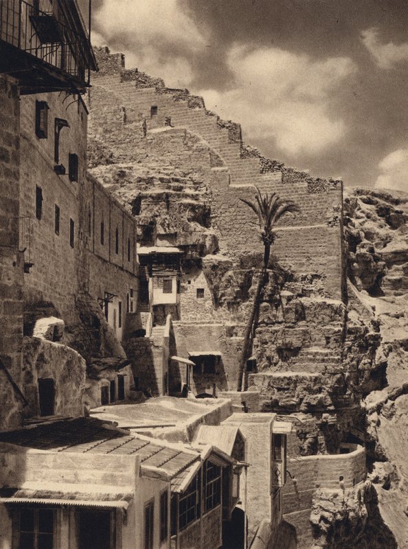 Mar Saba, Szent Sabas pálma (f/w fotó) alkotó: Karl Grober
