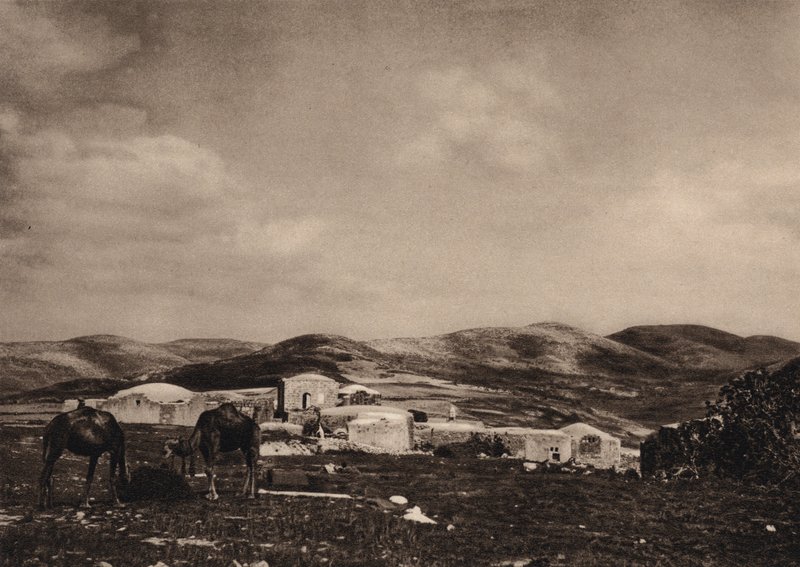 Szamária, kilátás Heródes palotájának romjairól (f/w fotó) alkotó: Karl Grober