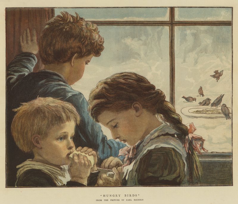 Magyarországi madarak (chromolitho) alkotó: Karl Wilhelm Friedrich Bauerle