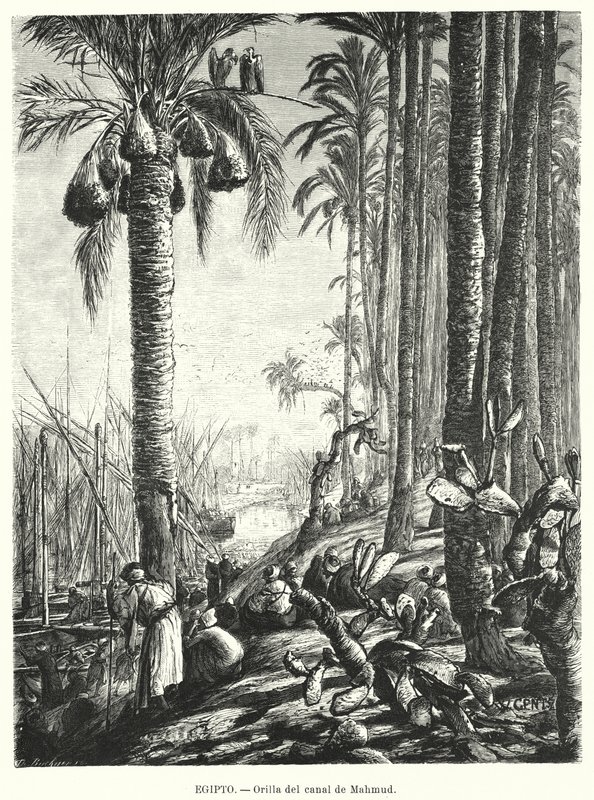 A Mahmoudiyah-csatorna partja, Egyiptom (litho) alkotó: Karl Wilhelm Gentz