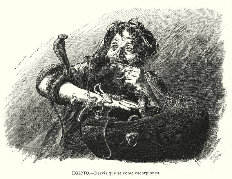 Dervis, aki skorpiót eszik, Egyiptom (litho) alkotó: Karl Wilhelm Gentz