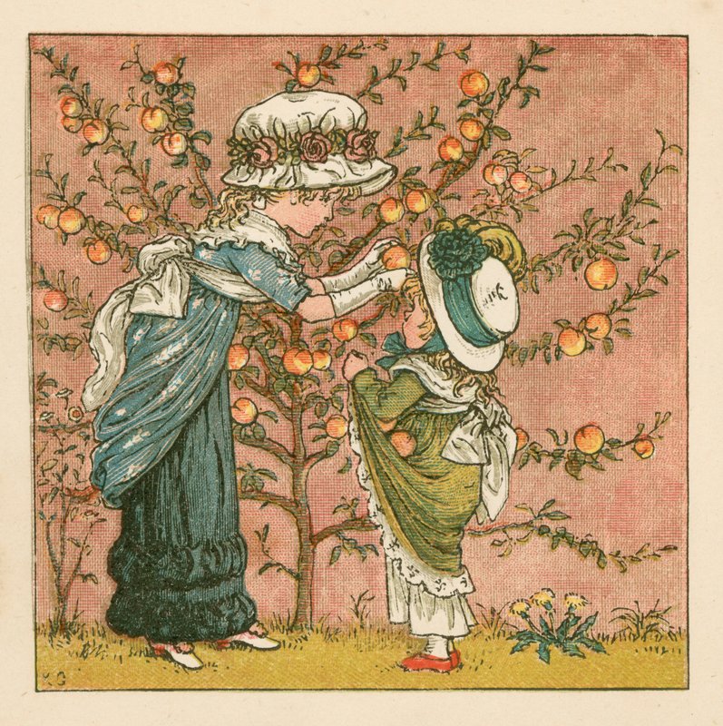 Őszibarack szedése alkotó: Kate Greenaway