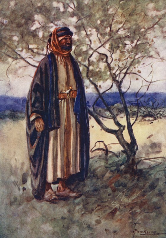 Egyiptom népe: Bedawi (színes lithó) alkotó: Lance Thackeray