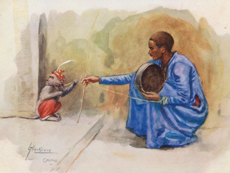 Egyiptom népe: Koradati (színes litó): Majomfiú, Koradati (színes litó) alkotó: Lance Thackeray