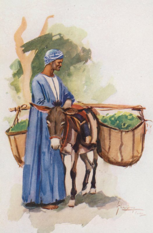 Egyiptom népe: Khodari (színes lithó): Zöldségárus, Khodari (színes lithó) alkotó: Lance Thackeray