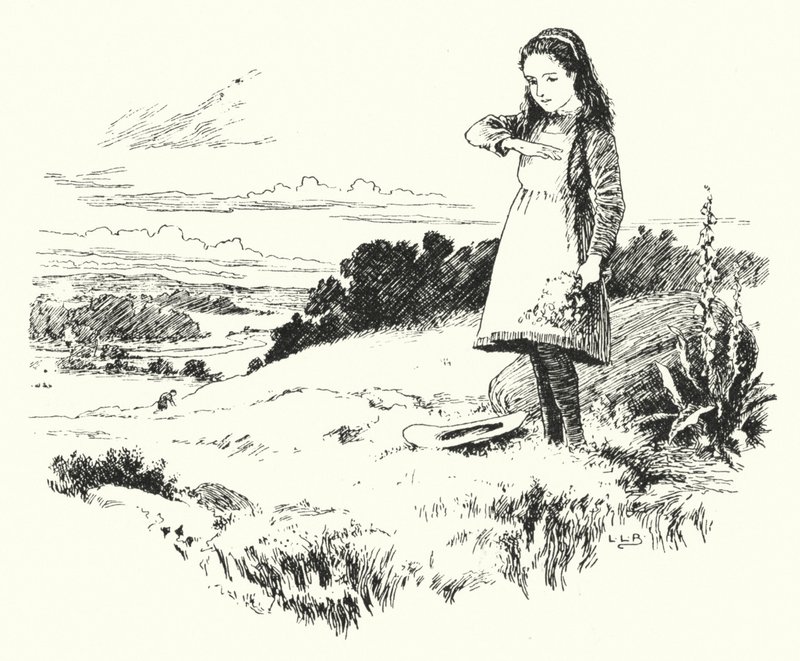 Madárka, madárka, repülj haza (metszet) alkotó: Leonard Leslie Brooke